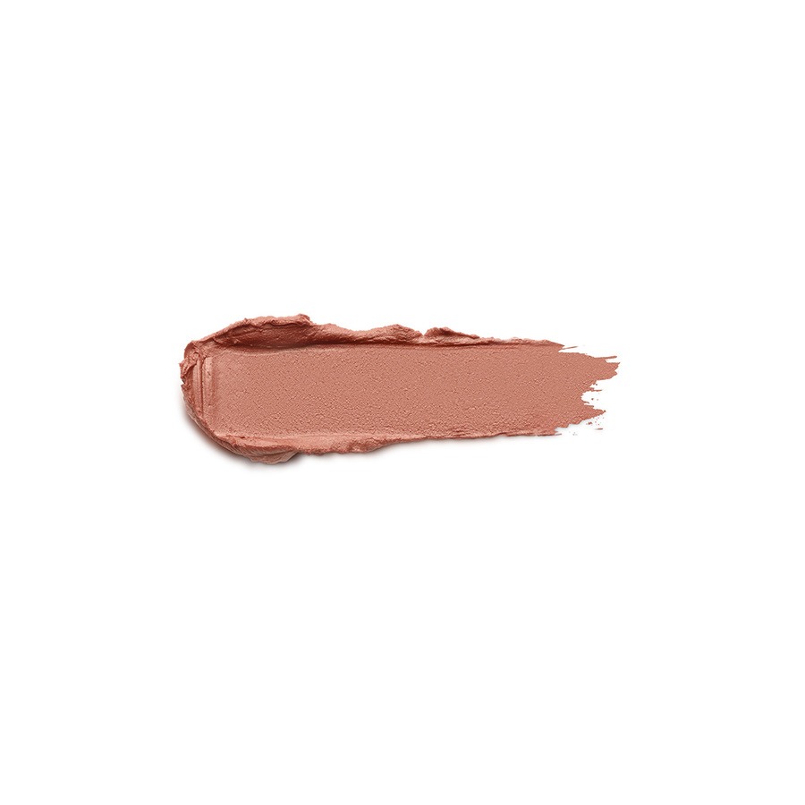 ENERGY SHAKE GINSENG MATTE LIP STYLO